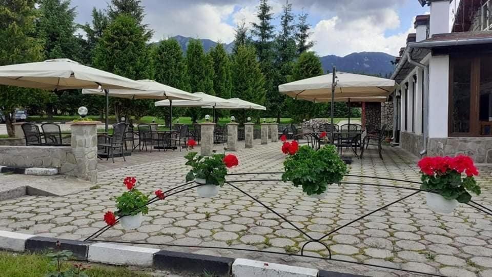 Hotel Cheia Cheia  Exteriér fotografie